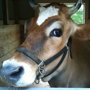 Meet your Posher, Deanna